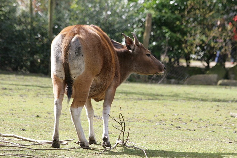 Fotoclubje Blijdorp 2008-49.jpg